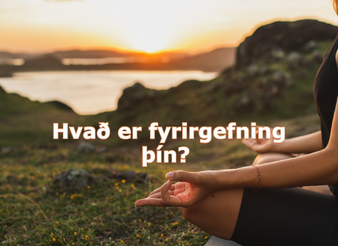 Í hverju felst fyrirgefning þín?