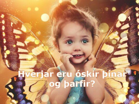 Hverjar eru óskir þínar og þarfir?