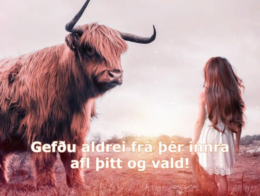 Gefðu aldrei frá þér þitt innra afl og vald!