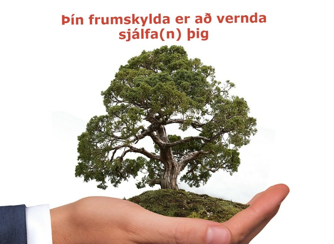 Þín frumskylda er að vernda sjálfa(n) þig