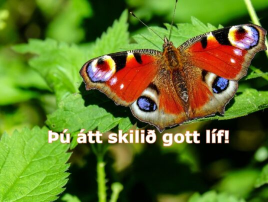 Þú átt skilið gott líf!