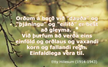 Þarft þú orð yfir alla reynslu?
